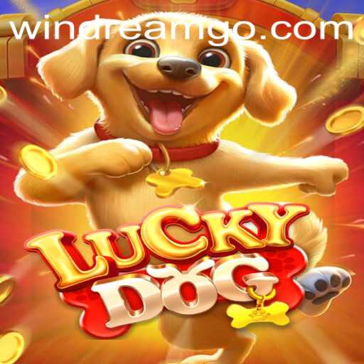 Discover the Thrilling World of LuckyDog and the Enigmatic WINDREAM